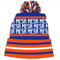 Mesa Lacrosse 🇺🇸 (@mesalacrosse) 's Twitter Profile