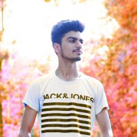 ADARSH SHUKLA(@ADARSHS87644855) 's Twitter Profileg