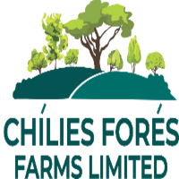 Chílies Forés Farms Limited(@ChiliesF) 's Twitter Profile Photo