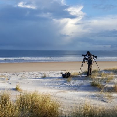 23 year old birder & naturalist. Northumbrian now living on the edge of the Norfolk Broads. UEA graduate.