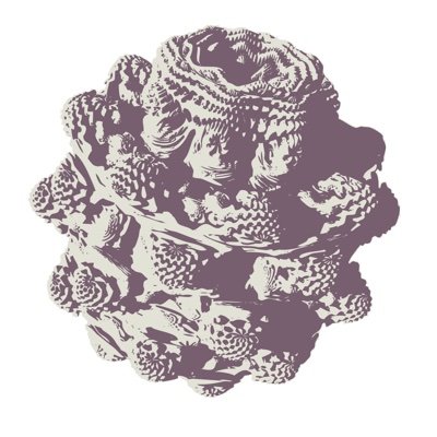 Discovered in 2009, the Mandelbulb is a three-dimensional manifestation of the Mandelbrot set. It is a naturally occurring, infinitely complex fractal object.