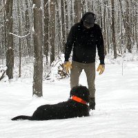 pruster (@pruster) 's Twitter Profile
