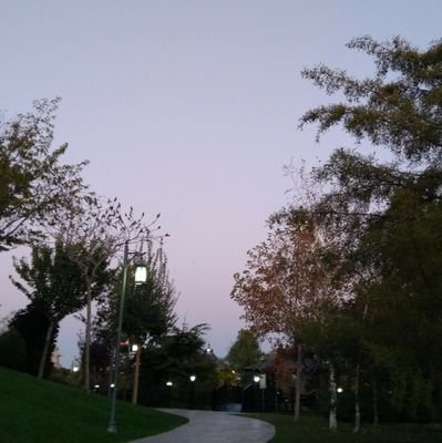 blogdiyalizci's profile picture. kalbimin çok kırıldığını unutamıyorum!!