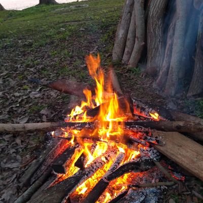 Agustin636372's profile picture. ......