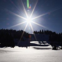White Pass (@whitepass) 's Twitter Profile