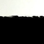 lyulin11's profile picture. UX/UI designer who loves to draw and eat cake