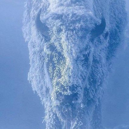 Heywoodsdumas's profile picture. 