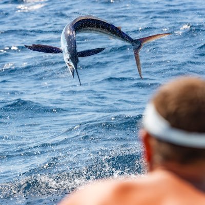 coreyschaible's profile picture. Fishing and Finance