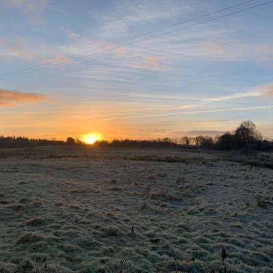 marksterrittni's profile picture. 