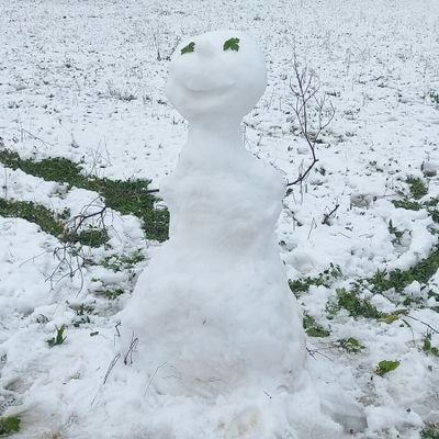 ArantxaIraolaAl's profile picture. Kazetaria. Ikusitakoak eta ikasitakoak kontatzeko ofizio honi katigatuta jarraitzen dut. BERRIAn.