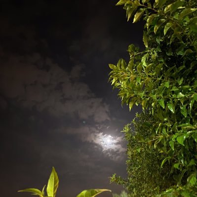 asumig3's profile picture. 