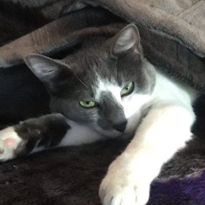 CoveartGregory's profile picture. I fix things