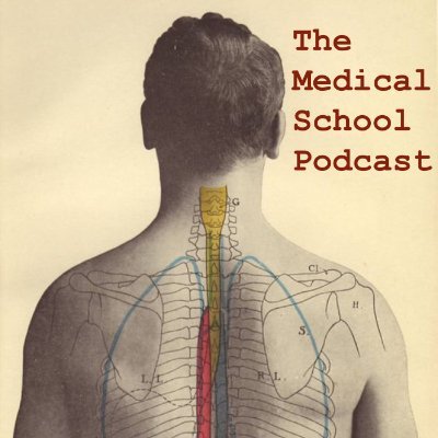 med_school_pod's profile picture. How do you maximize your education in medical school? We attempt to answer this question.  Search for it on Spotify or Apple Podcasts.