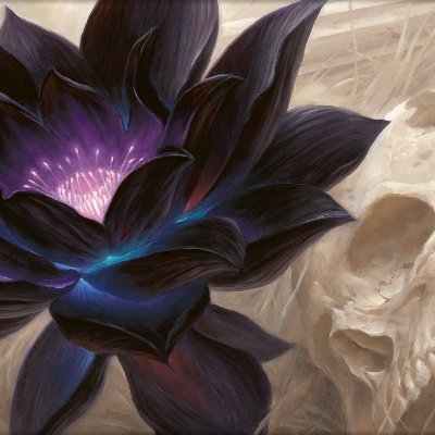 Figured__'s profile picture. 