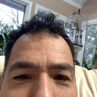 Albert (@albert46664462) 's Twitter Profile