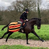 eloise (@eloiseclare_) 's Twitter Profile