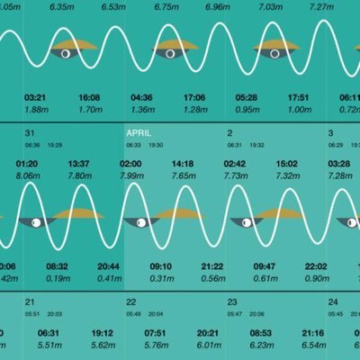 Beach life. Making beautiful annual tide time prints for ~600 UK coastal locations. Displaying data on tide times, tide heights, moon & sun phases. #tidetables