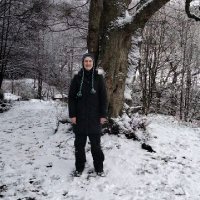 Lauren R-T (@laurenmegrt) 's Twitter Profile