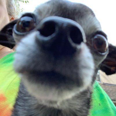 jrfitz533's profile picture. Boring ass suburban mom to three kids and two dogs.