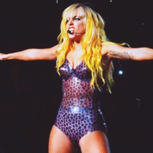 GagaFake's profile picture. Would you mind if I took a ride on your disco stick?