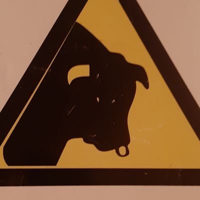 BullCabe's profile picture. Beware of the bull..