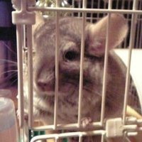 かんな (@angelite0831) 's Twitter Profile Photo かんな (@angelite0831) 's Twitter Profile Photo