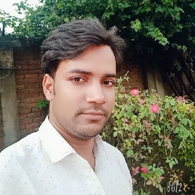 junior writer