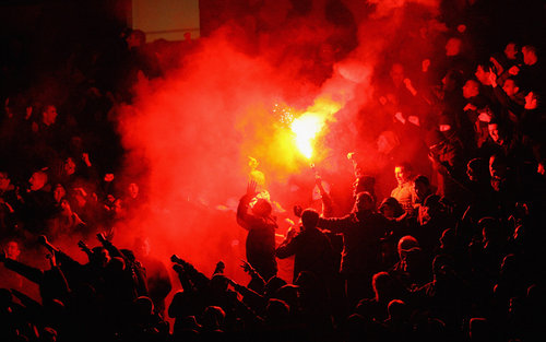 Laurence__S's profile picture. strange fruit from a forbidden tree...