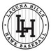 LagunaHills Baseball (@LH_HawkBaseball) Twitter profile photo