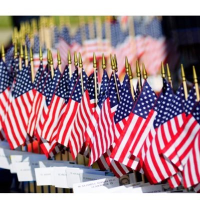 HiBush's profile picture. Always outspoken, don’t ask if you don’t want to know.#Vote #Vote! #Vote!! #BlueWave🌊