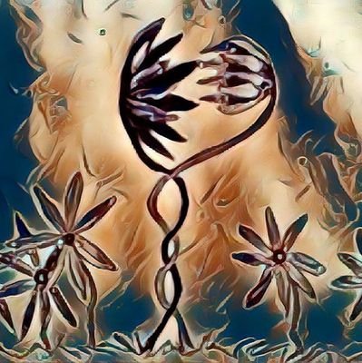 spoken word and poetry.
💕
Defect Poets own the rights to all featured poetry.
Music info provided via YouTube link.