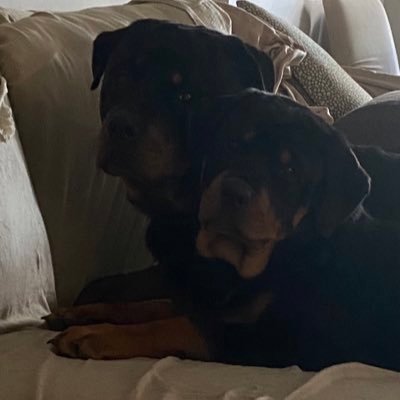 plmslm1's profile picture. 