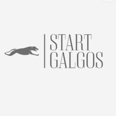GalgosStart's profile picture. Olá Galera sejam bem vindos, perfil criado pra quem ama a corrida de Galgos 🐶 vamos analisar 3 corridas por dia até a criação do grupo no telegram fiquem de 👀