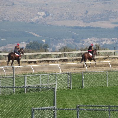 Desert Park is Canada’s only Year-Round Horse Training Facility located in Canada’s Hottest Destination – Osoyoos BC.