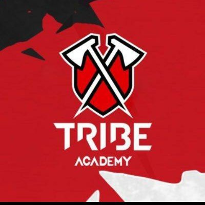Tribe Academy