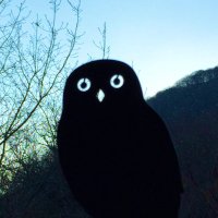 TAQ🦉 (@666taq999) Twitter profile photo
