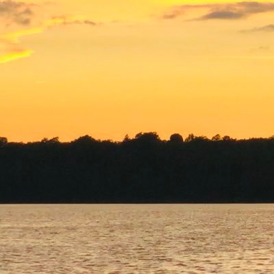 _varunverma's profile picture. Passionate about creation | Developer