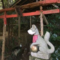 ゴブリン (@9yugvf2f2fkd6u0) 's Twitter Profile Photo ゴブリン (@9yugvf2f2fkd6u0) 's Twitter Profile Photo