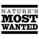 Eddie Leon - @NatrsMostWanted - Twitter