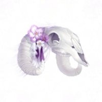 gohalyミラニキ (@goha_nikki) Twitter profile photo