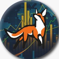 Fox Of Crypto (@foxofcryptox) Twitter profile photo