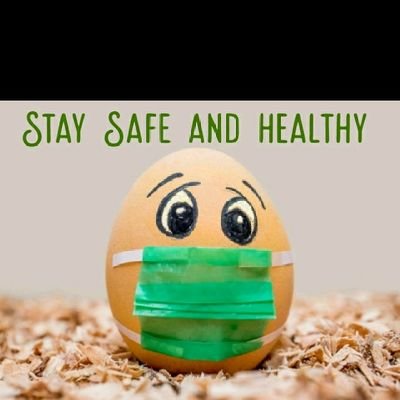 KasuleSadat3's profile picture. business orinted