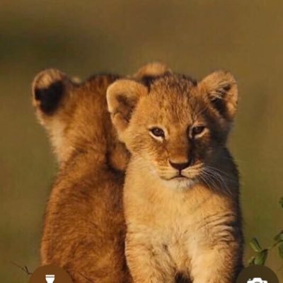 _kv_hn's profile picture. 