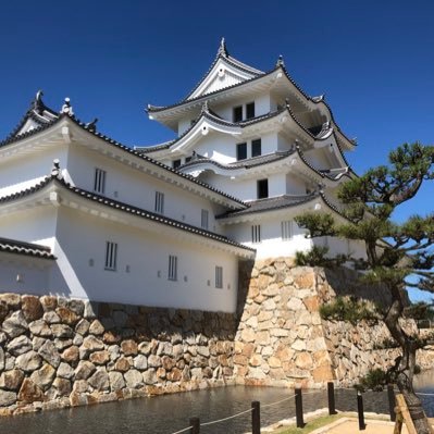 寺・神社巡り、歴史散策好き。グルメ・読書・映画など興味ある事柄についてマイペースでツイートしています😊最近電子コミックで気軽にマンガが読めるので名作・話題作など中心に読んでます。無言フォローお許しください。🙇‍♂️