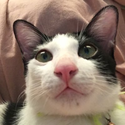 lucgyim's profile picture. แอคหลัก @Alice_style. 👉 #รีวิวlucgyim รีวิวสินค้าและเช็คเลขแทรค 👉 ไม่ต้องกลัวโกงน้าา (สินค้ามือ1มือ2ของแม่ค้าเอง)