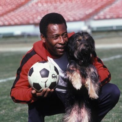 Footballers with animals