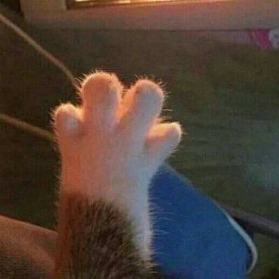 ployo_x's profile picture. 