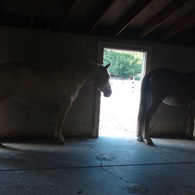 breeze1699's profile picture. I am who I am!!