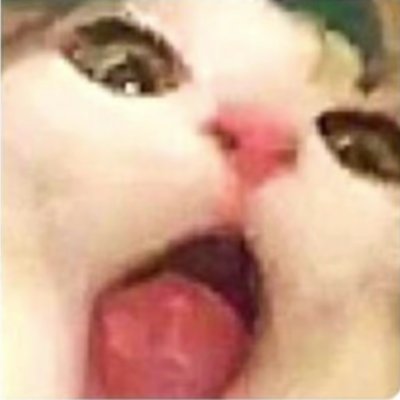 KishaMaus's profile picture. 