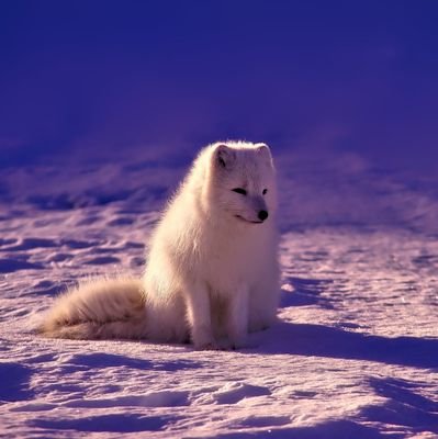 yu015084's profile picture. 子育て奮闘中三児の父です。
プログラミング日々勉強中のビジネスマンです。
現在は財務関係や税務関係の仕事をしています。